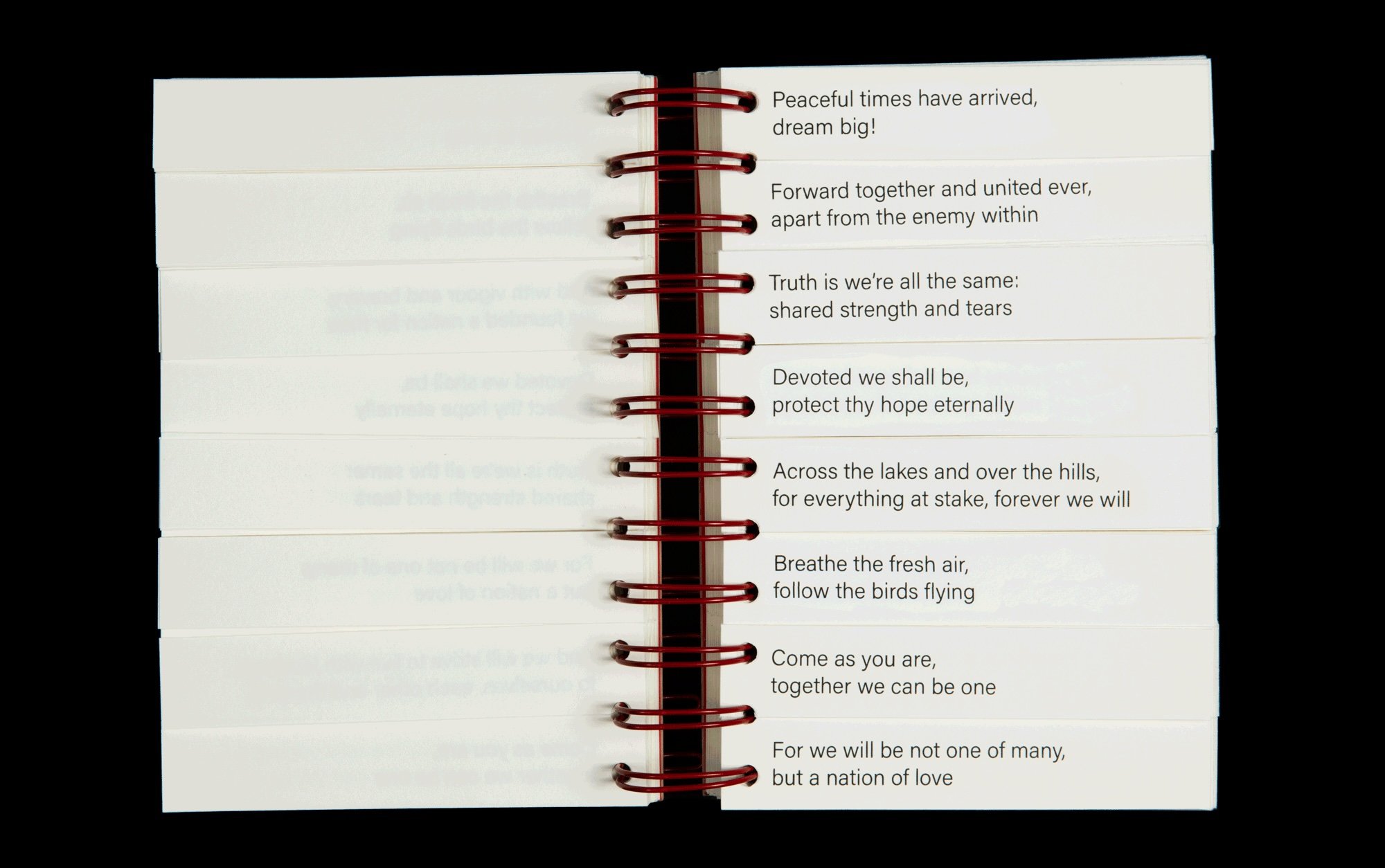 SGuergis_FlipBook