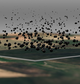 Visualisations © Carbon Counting Club, 2022